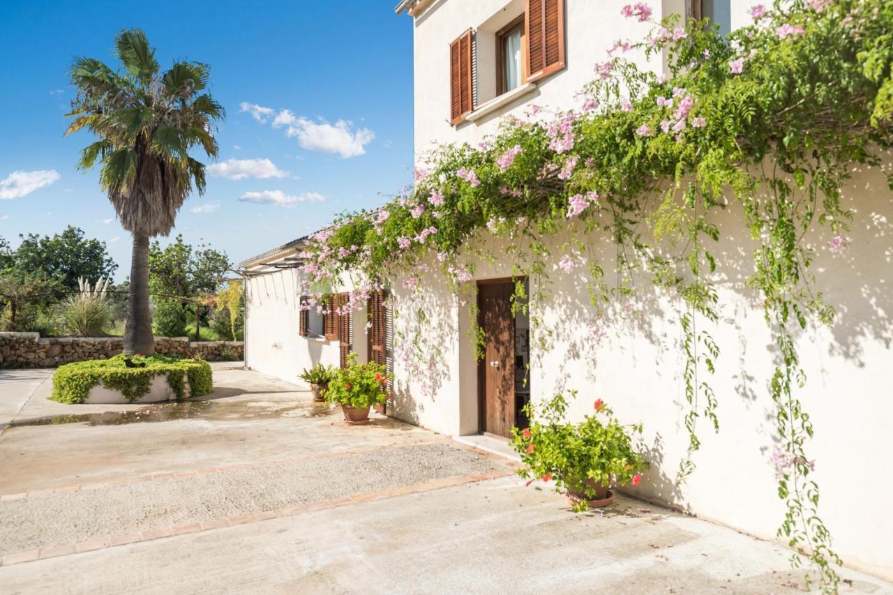 Na Blanca Ferienhaus Petra (Mallorca)